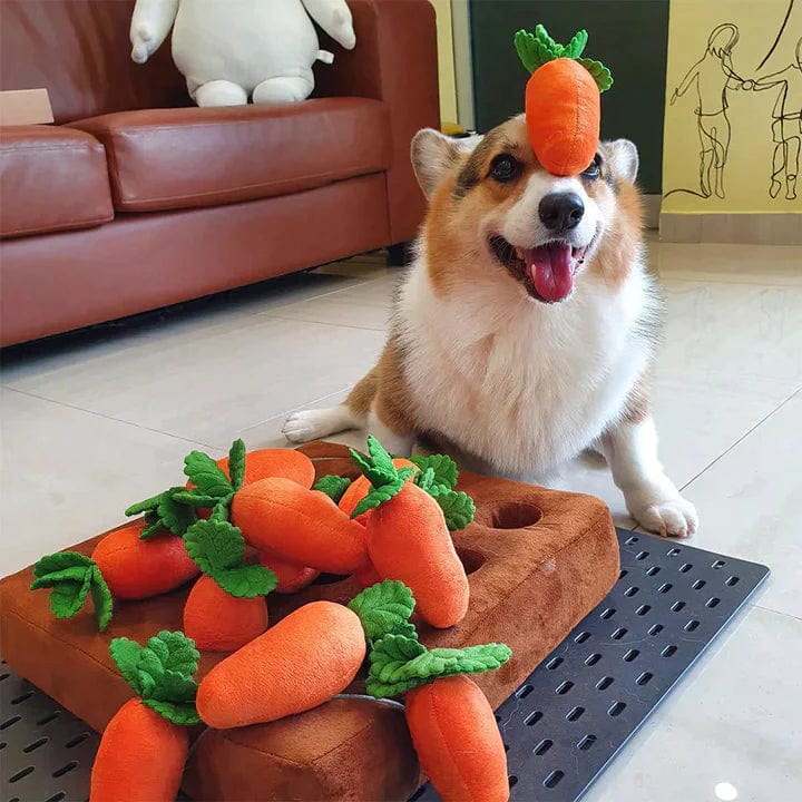 Carrot Farm Interactive Toy