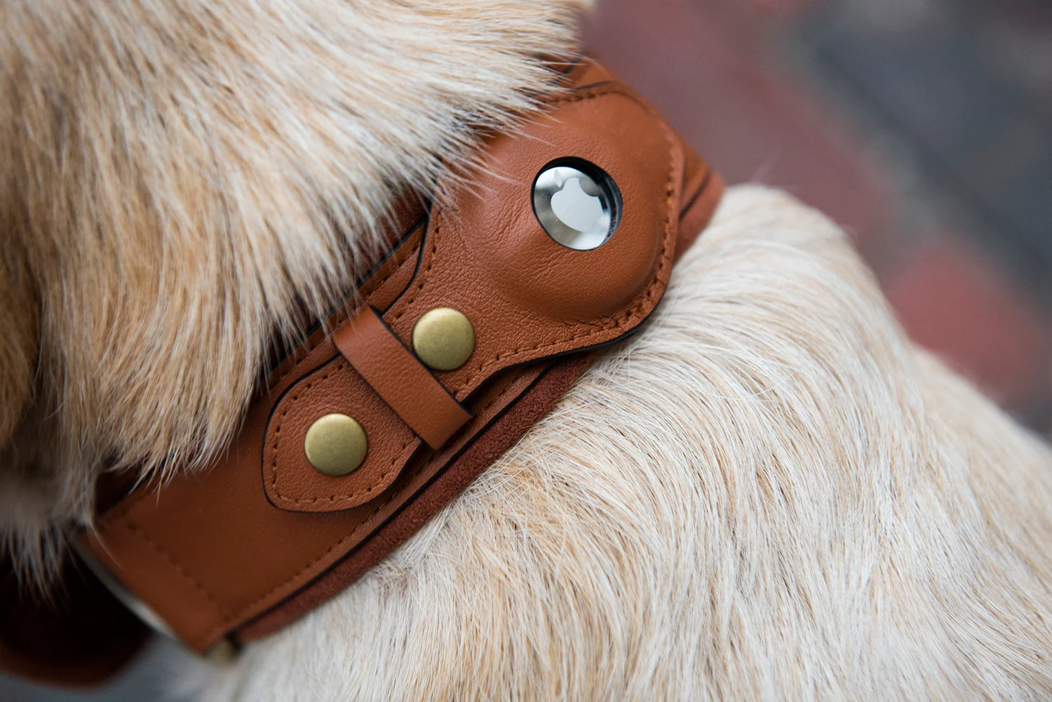 Leather AirTag Dog Collar Premium Dog Collar AirTag Case Holder