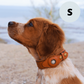 Leather AirTag Dog Collar Premium Dog Collar AirTag Case Holder