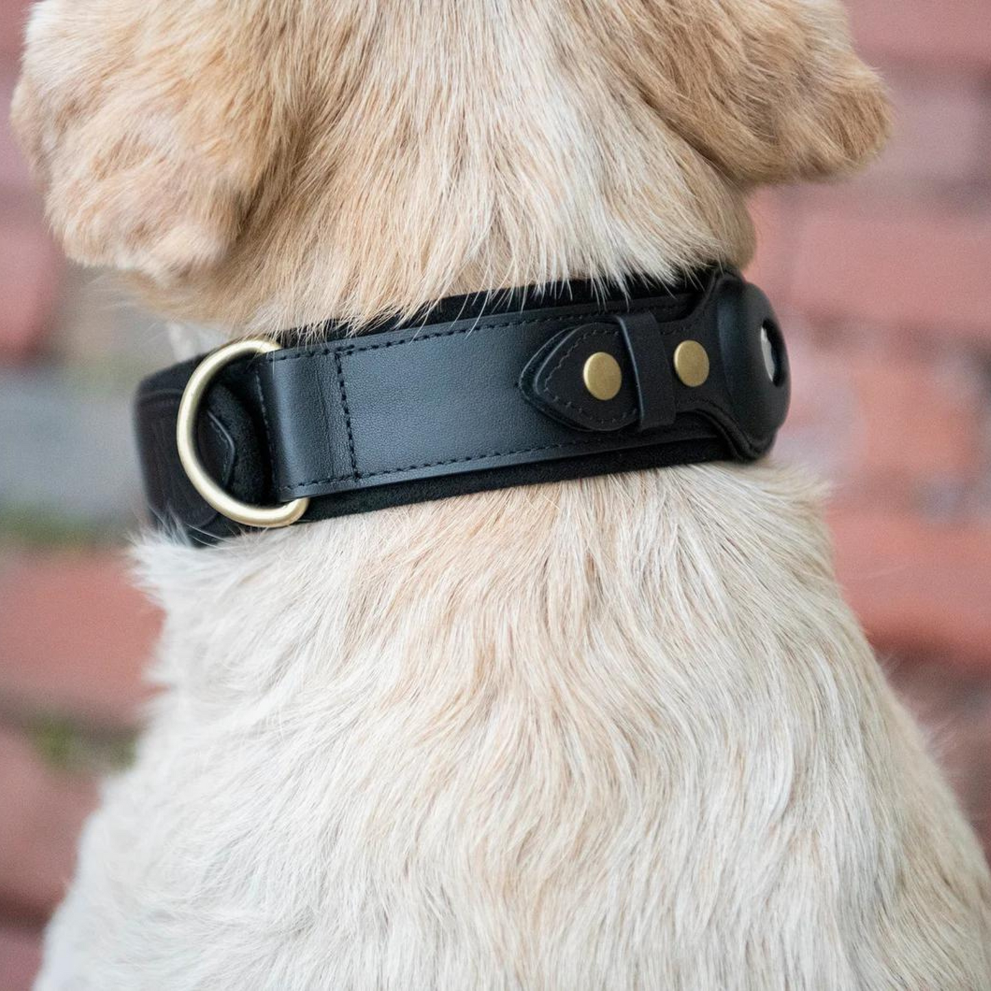 Leather AirTag Dog Collar Premium Dog Collar AirTag Case Holder