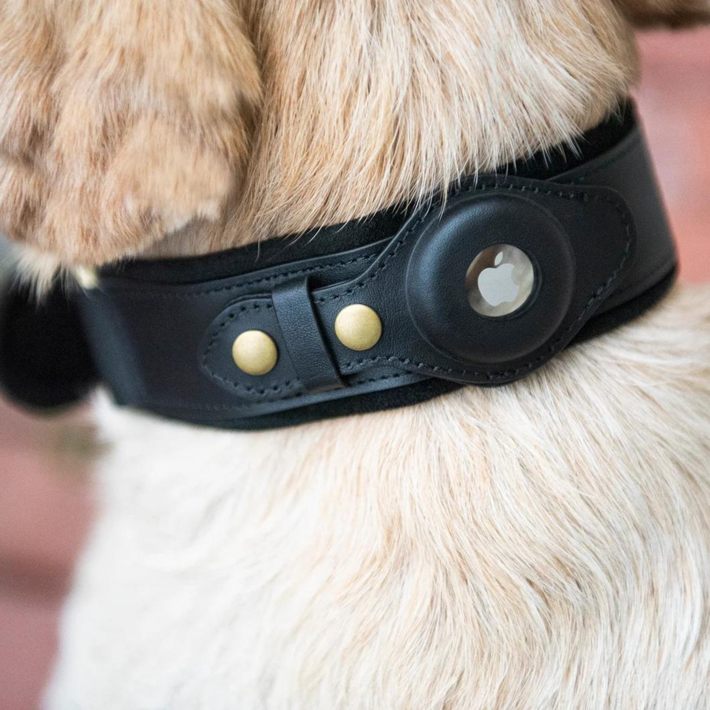 Leather AirTag Dog Collar Premium Dog Collar AirTag Case Holder