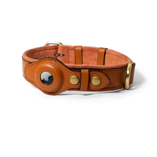 Leather AirTag Dog Collar Premium Dog Collar AirTag Case Holder